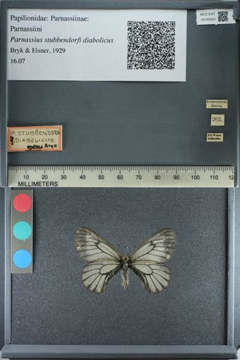 Media type: image;   Entomology 180020